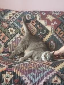 Velcro